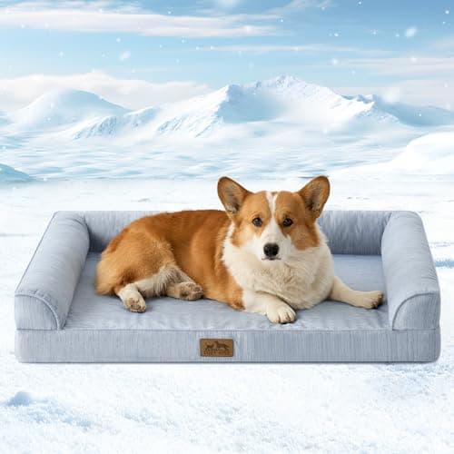 Cooling Dog Bed, Orthopedic Foam Dog Bed with Sides, Removable Cover & Waterproof Lining and Nonskid Bottom, Comfortable Pet Beds for Medium Dogs, Blue (36" L x 27" W x 6.5" Th) - Image 1