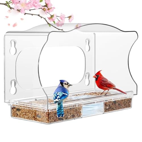 ACEROMT Clear Window Bird Feeder with 4 Extra-Strong Suction Cups, Built-in Water Trough and Drainage Holes, Large View Transparent Bird House for Outside, Unique Bird Watching Gift for Mom Parents - Image 1