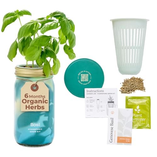 Modern Sprout Mason Garden Jar - Self-Watering Hydroponics Growing System Kit with Organic Herb Seeds - Jar Planter for Indoor Herb Garden - Seed Starter Kit - Home Decor & Gifting - Basil - Image 1