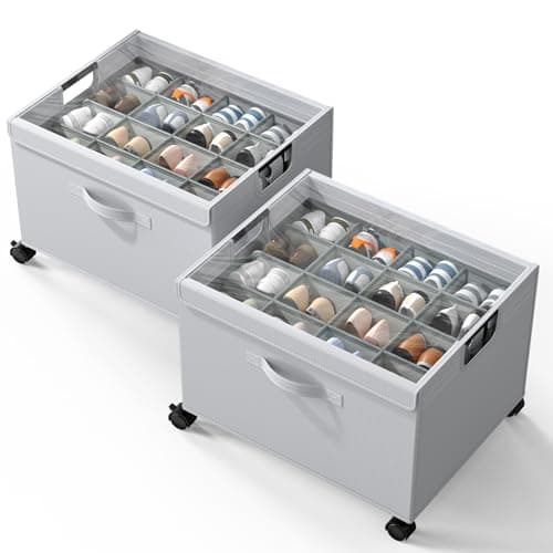 HOUSE AGAIN Shoe Organizer for Closet, 2 Pack Foldable Shoe Storage Organizer Box with Wheels and Adjustable Dividers, Sturdy Metal Frame Fits up to 16-32 Pairs, Large Shoes Storage with Clear Cover - Image 1