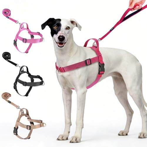 Annchwool No Pull Dog Harness with Front Clip and Easy Control Handle-Belly & Chest Adjustable Dog Harness and Leash Set for Medium Large Dogs-Heavy Duty Vest Harnesses Easy for Walking(Red,L) - Image 1