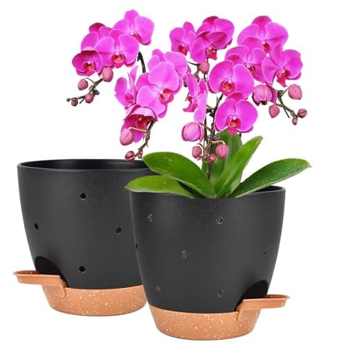 Vanslogreen 6 Inch Orchid Pots with Holes, 2 Pack Self Watering Planters for Orchids Plastic Orchid Pot Plant Flower Pots for Orchids Indoor Outdoor (Black with Brown) - Image 1