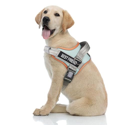 AUROTH Dog Harness and Leash Set, Soft Padded Service Dog Vest with 5.25FT Dog Leash, No Choke, Easy On Pet Vest, Adjustable Reflective No Pull Dog Harness for Large Dogs, Easy Walking and Training - Image 1