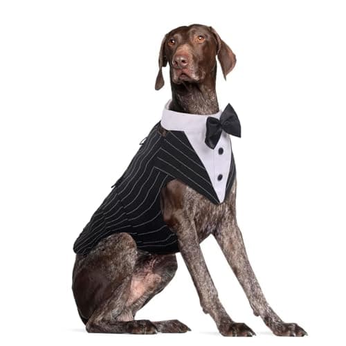 DORA BRIDAL Dog Tuxedo for Large Dogs, Dog Suit and Bowtie, Formal Dogs Wedding Outfit, Pet Tuxedo and Bandana Set Valentines Birthday Christmas Party Costumes for Labrador, Golden Retriever, Black,L - Image 1