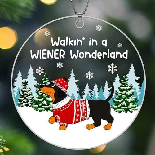 Dachshund Christmas Ornaments 2026, Weiner Dog Ornaments for Christmas Tree Decorations, Dachshunds Gifts for Women - Dachshund Through The Snow