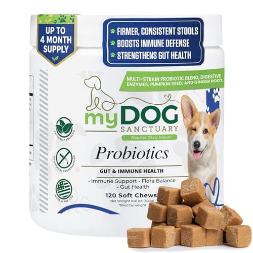 My Dog Sanctuary Probiotics for Dogs 120 Chews - Digestive Enzymes & Gut Health Support with Pumpkin Seed, Ginger Root – Dog Probiotics for Diarrhea, Bowel & Immune Support - Bacon Flavor, Soft Chews - Image 1