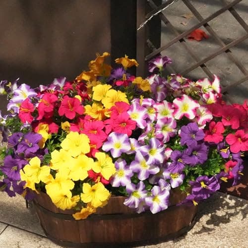 Vemander Artificial Flowers for Outdoors Fake Plants Outside Decoration, 12 Bundles Silk Petunia with Eucalyptus UV Resistant Realistic Faux Flowers for Outdoor Planters Garden Balcony (6 Color) - Image 1