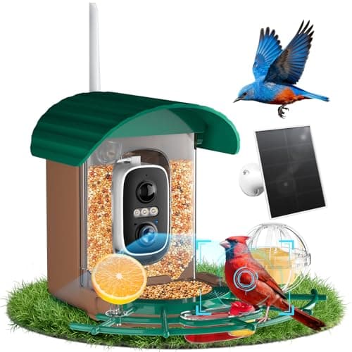 NIORSUN Smart Bird Feeder with Camera Solar Powered, 2K HD Video AI Recognition Feeder with Instant Notifications, Eagle Alarm, Infrared Night Vision, Ideal Gift for Family and Bird Lovers, Green - Image 1