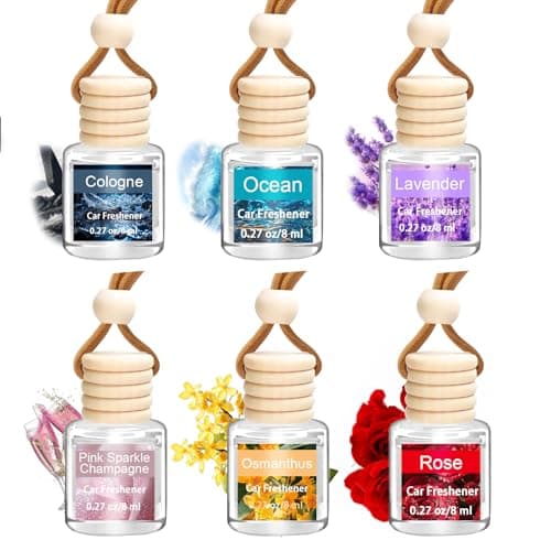 6 Pack Air Freshener Diffuser, Hanging Air Fragrance Essential Oil Diffuser, Car Scents Accessories Cute Car Interior Decor,Car Air Fresheners for Women & Men Gift Cologne Aromatherapy Oil - Image 1